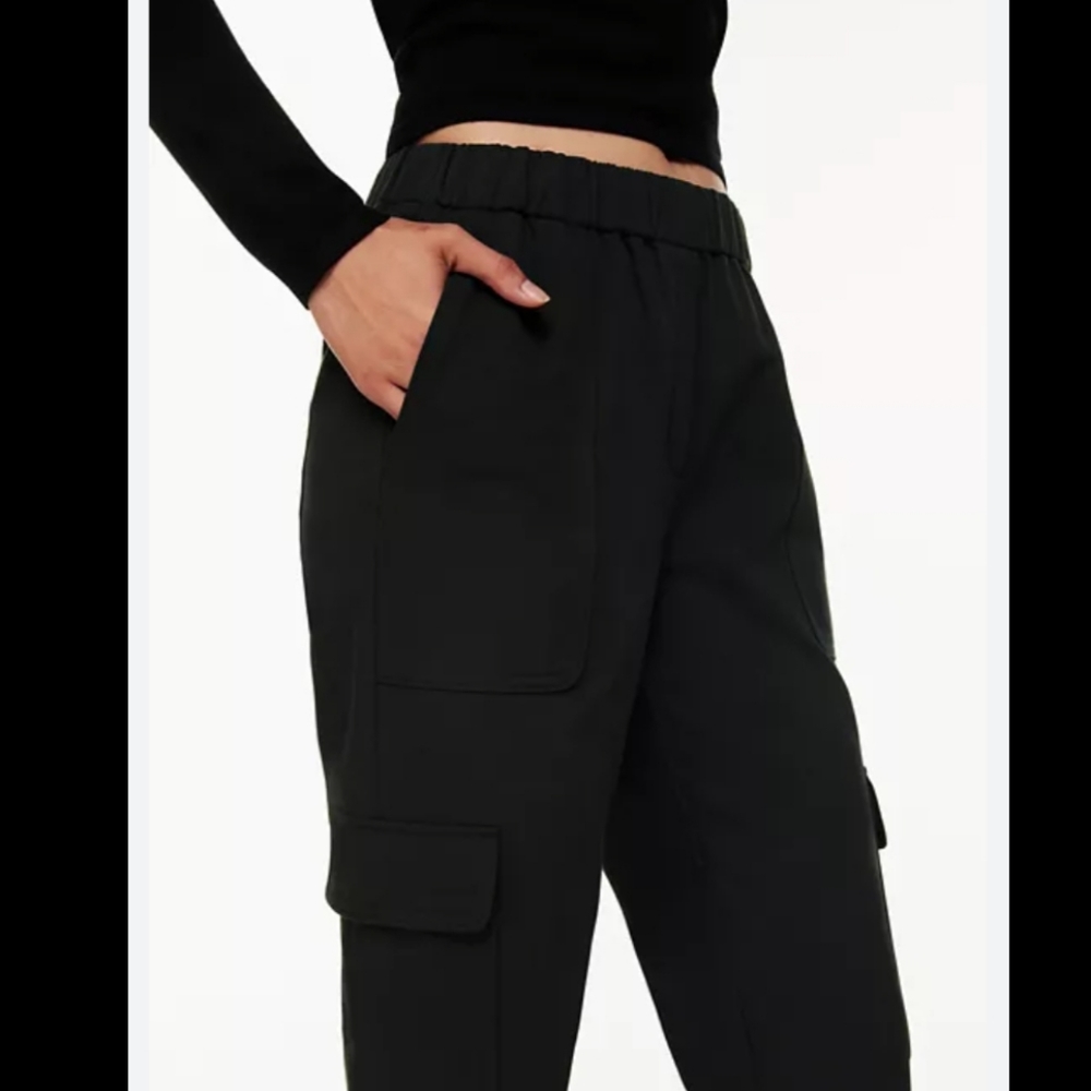 Aritzia Babaton Titan utility pants - Picture 2 of 14